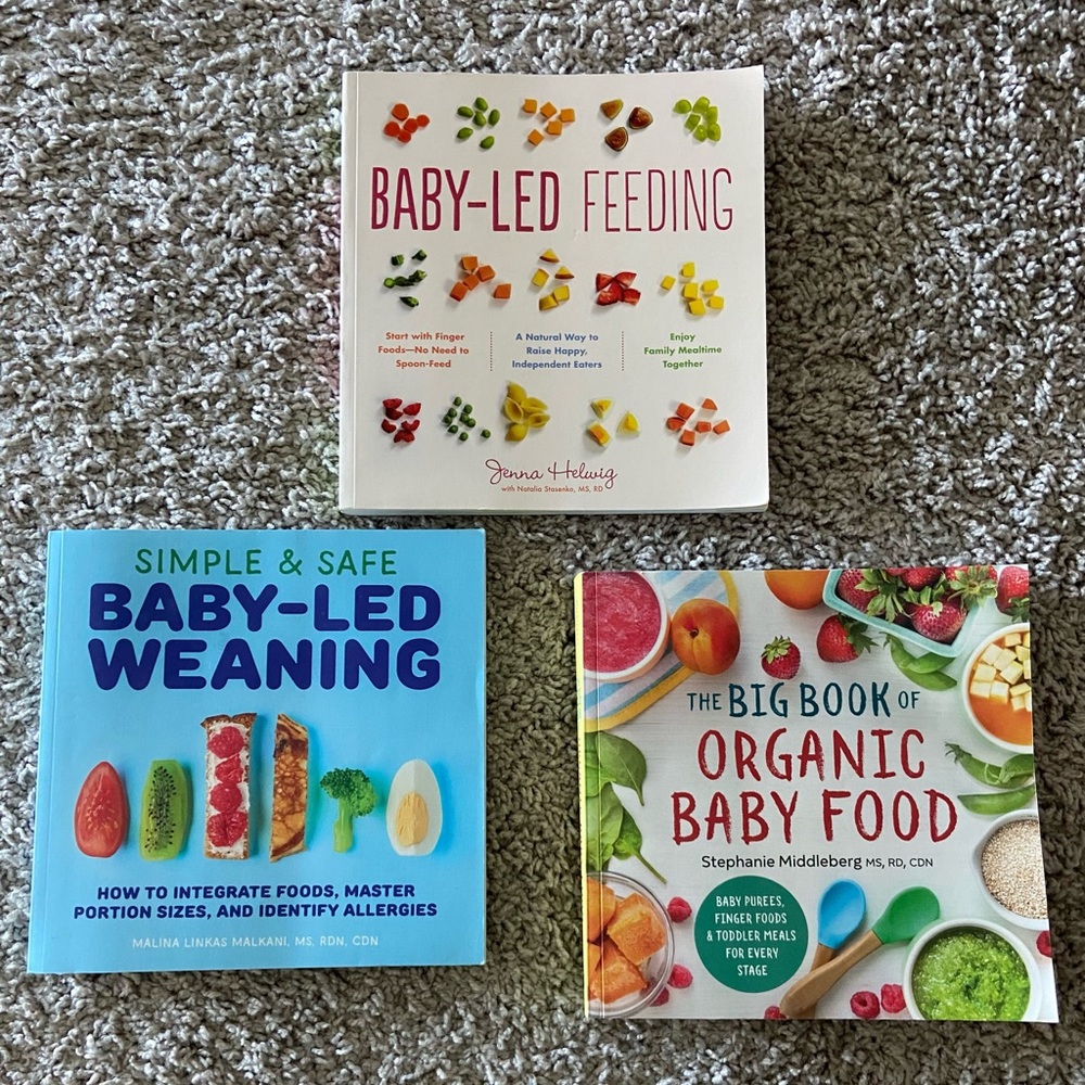 Baby food book bundle